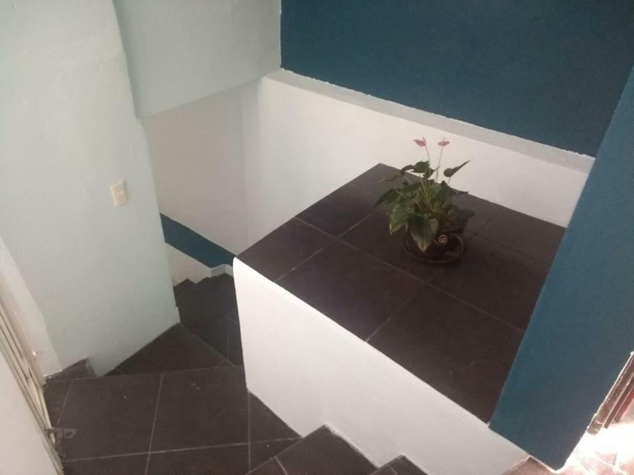 Casa Habitacion Guanajuato Eksteriør billede